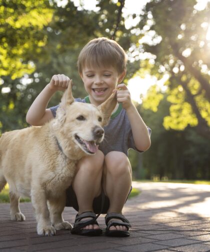 Rola zwierząt w rozwoju dzieci – jak pupile kształtują przyszłość najmłodszych