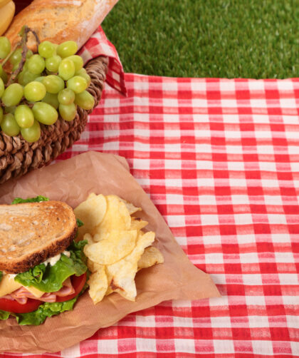 Co zabrać na piknik z rodziną? Lista rzeczy, które umilą wspólny czas na świeżym powietrzu